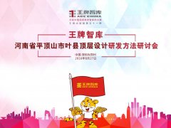 【第51期】王牌智庫河南省平頂山市葉縣頂層設(shè)計(jì)研發(fā)方法研討會(huì)