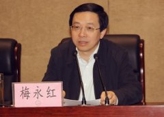 王牌閱官 || 辭職市長(zhǎng)梅永紅：很多官員對(duì)企業(yè)家那種氣勢(shì)令人心寒