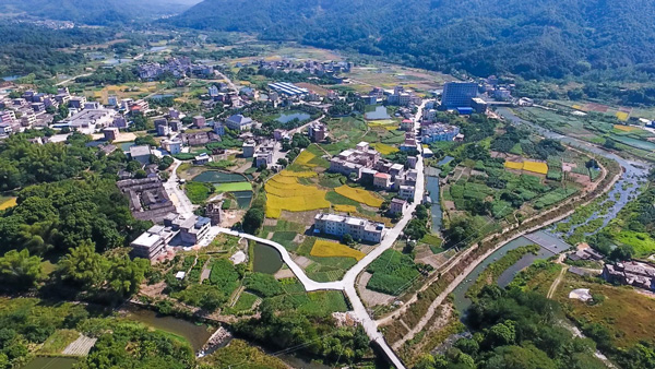 王牌智庫||鄉(xiāng)村振興戰(zhàn)略，賦能美麗鄉(xiāng)村