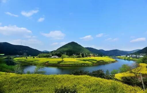 王牌智庫(kù)圖3