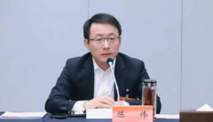 肥西縣委書(shū)記陳偉凌晨“7分鐘講話視頻”，火了！