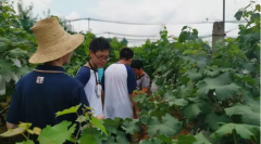 調查研究必須有擔當精神