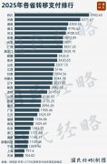 10萬(wàn)億中央轉(zhuǎn)移支付，都被誰(shuí)拿走了？